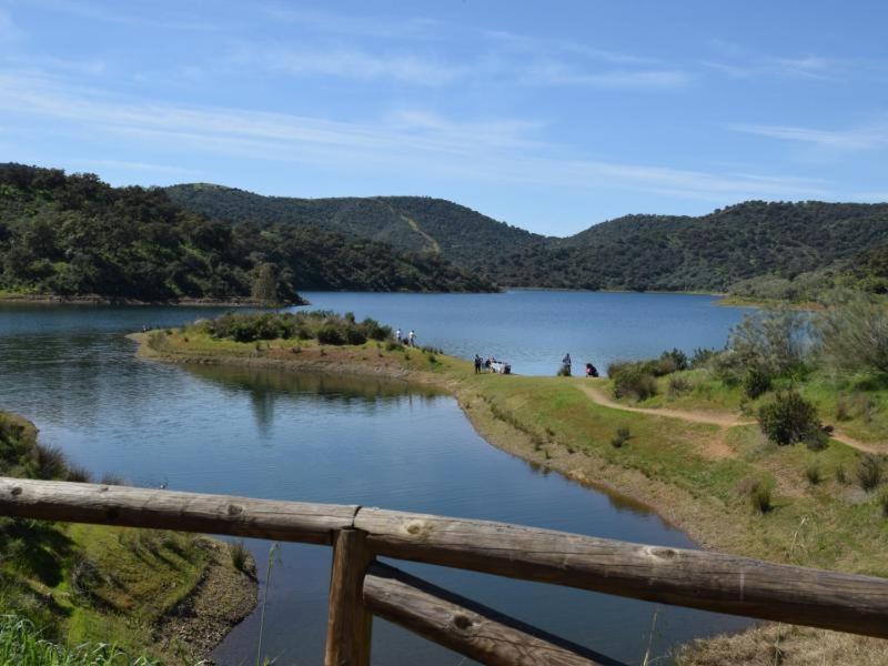 Tejadilla Casita Rural Cerca De Sevilla Con Piscina Eksteriør billede